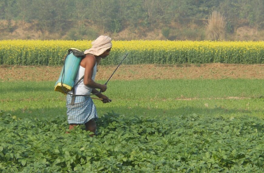 India’s Rajasthan Farmers Protesting Nano-Urea Mandate