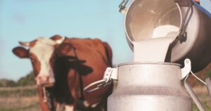 India’s Rashtriya Gokul Mission Boosts Indigenous Cattle Breeding&hellip;