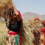 Legal Push for Farmer Compensation Gains Momentum in Rajasthan