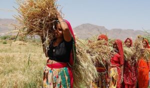 Legal Push for Farmer Compensation Gains Momentum in&hellip;