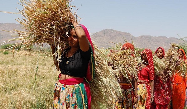 Legal Push for Farmer Compensation…