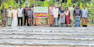 Neendakara Harbour in Kerala Wins Agricultural Innovation Award