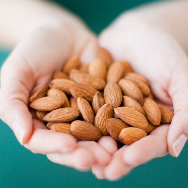 New USDA Almond Variety Shows Strong Potential