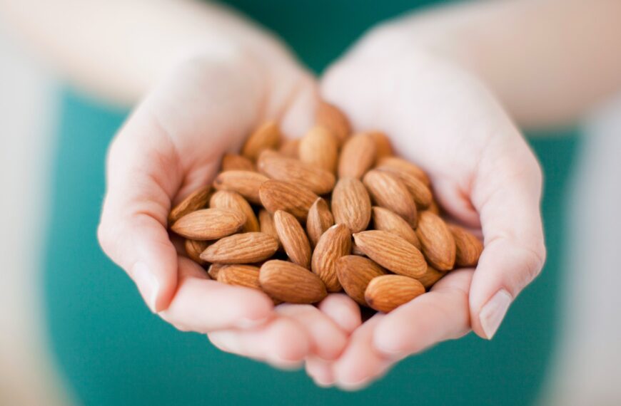 New USDA Almond Variety Shows Strong Potential