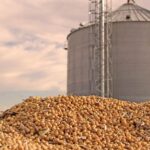 Grain Bin Tragedy Sparks Safety Awareness