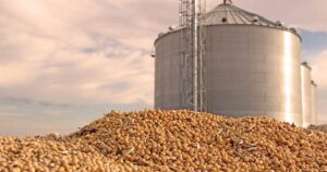 Grain Bin Tragedy Sparks Safety Awareness