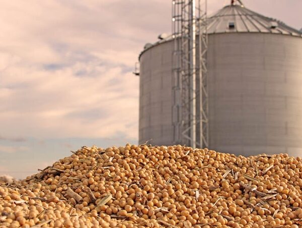 Grain Bin Tragedy Sparks Safety Awareness