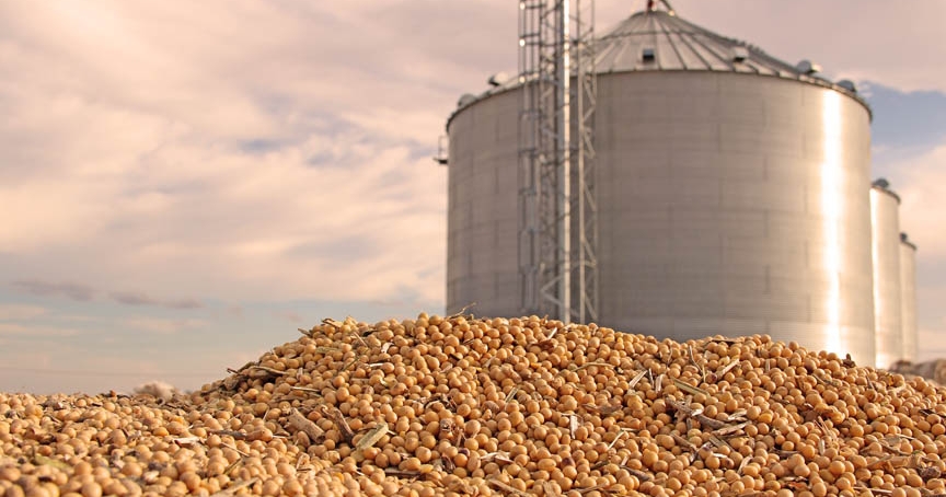 Grain Bin Tragedy Sparks Safety Awareness