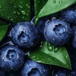 Peru Shifts Blueberry Exports to Asian Markets
