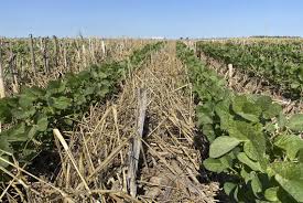 Major Boost for U.S. Agriculture: $2 Billion Fertilizer&hellip;