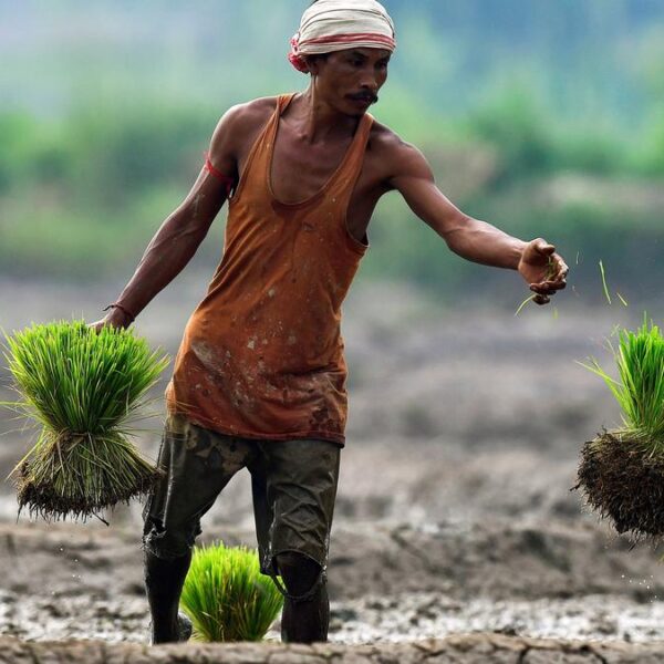 UP Government Unveils “Agriculture Vision 2047”