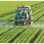 India’s Agriculture Sector Achieves the Highest Global 3.7% Growth Rate in Q1 of 2025-26