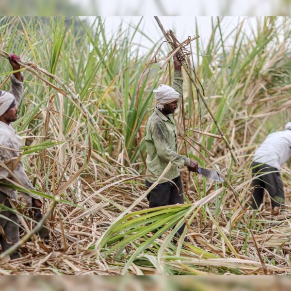 Yogi Government Orders Swift Crop Insurance for Flood-Hit&hellip;