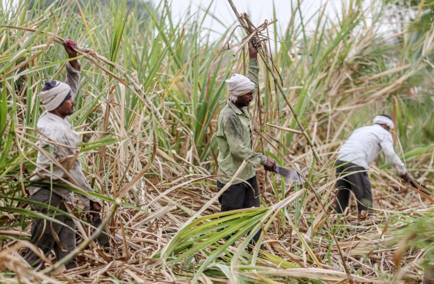Yogi Government Orders Swift Crop…