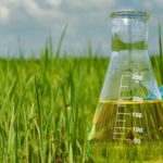 Indian Agrochemical Industry Hit by U.S. Tariffs, Seeks Urgent Government Intervention