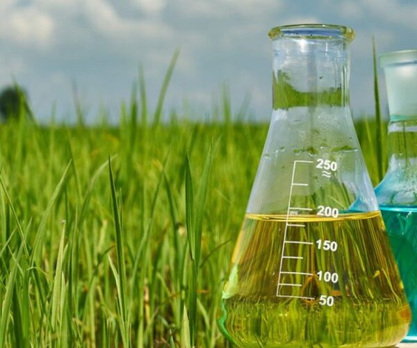 Indian Agrochemical Industry Hit by U.S. Tariffs, Seeks…