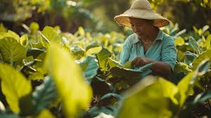 SEDC Lobbies for Agricultural and VC Investment in&hellip;