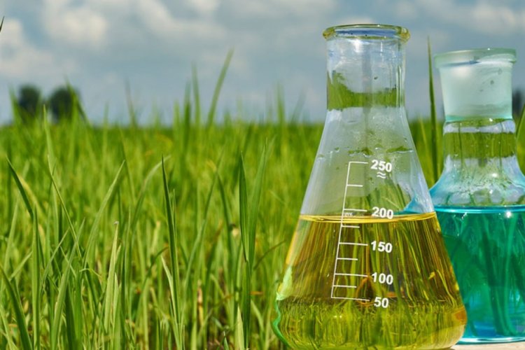 Indian Agrochemical Industry Hit by U.S. Tariffs, Seeks Urgent Government Intervention