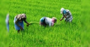 Agricultural Drones to Transform Farming; Global Market Projected&hellip;