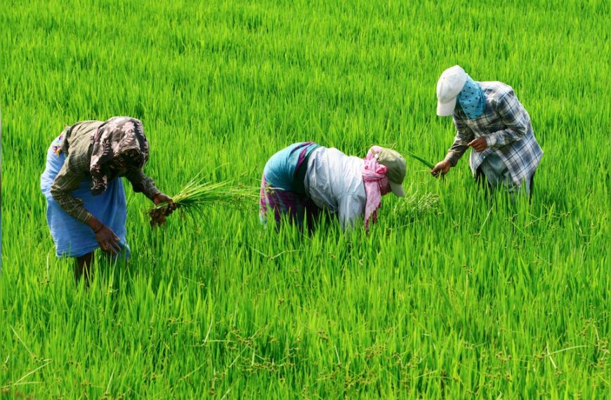 Agricultural Drones to Transform Farming; Global Market Projected to Reach $8 Billion by 2029