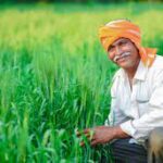 Crisis Over PM Kisan Samman Nidhi Affects 30,690 Beneficiaries in Uttar Pradesh District