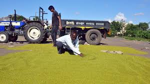 Karnataka Eyes MSP Guarantee Scheme for Farmers