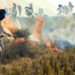 Punjab Farmers Protest Against Stubble Burning Penalties as FIRs and Fines Mount