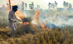 Punjab Farmers Protest Against Stubble…