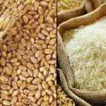 FAO Food Price Index Dips; Global Agriculture Updates Highlighted on Global Agriculture Portal