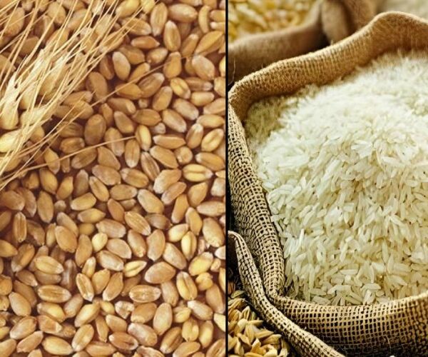 FAO Food Price Index Dips; Global Agriculture Updates…