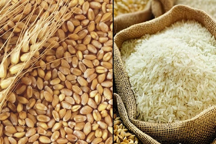 FAO Food Price Index Dips;…