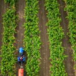 World Bank Lauds Uttar Pradesh’s Resilient and Innovative Agriculture Model