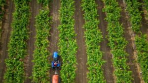 World Bank Lauds Uttar Pradesh’s Resilient and Innovative&hellip;