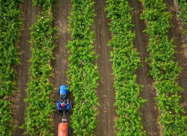 World Bank Lauds Uttar Pradesh’s Resilient and Innovative…