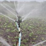 ‘Every Drop Counts’: New PDMC Flexibility to Boost Water Conservation and Farmer Income