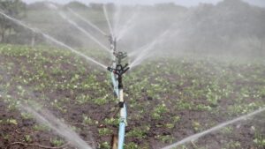 ‘Every Drop Counts’: New PDMC Flexibility to Boost…