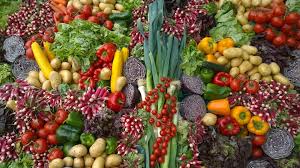 Global Food Prices Dip as Sugar and Dairy…