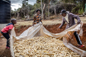 FAO Food Price Index Dips; Global Agriculture Updates&hellip;