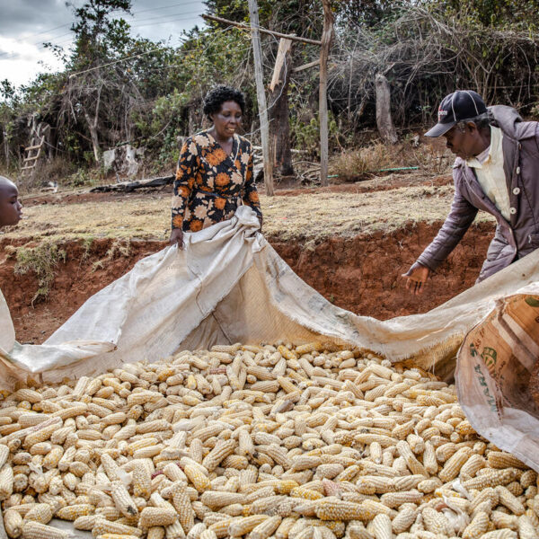 FAO Food Price Index Dips; Global Agriculture Updates…
