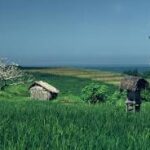 IUCN Publishes New Research Linking Agricultural Support, Biodiversity, and Trade
