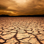 Modern Agriculture Threatening Soil Health and Global Food Security, Warns New Report