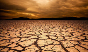 Modern Agriculture Threatening Soil Health and Global Food&hellip;