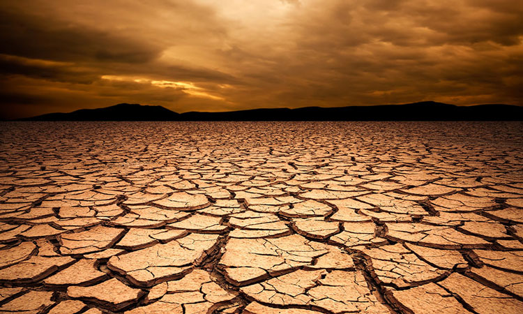 Modern Agriculture Threatening Soil Health and Global Food…