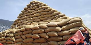 Tamil Nadu Boosts Paddy Storage Capacity Ahead of…