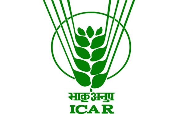 ICAR 2025 Counselling Begins for UG, PG, and…