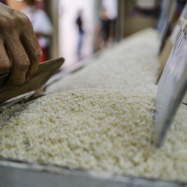 Philippines Strengthens Support for Farmers by Extending Rice…