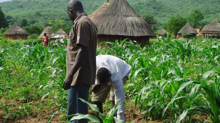 World Bank Launches ‘AgriConnect’ to…