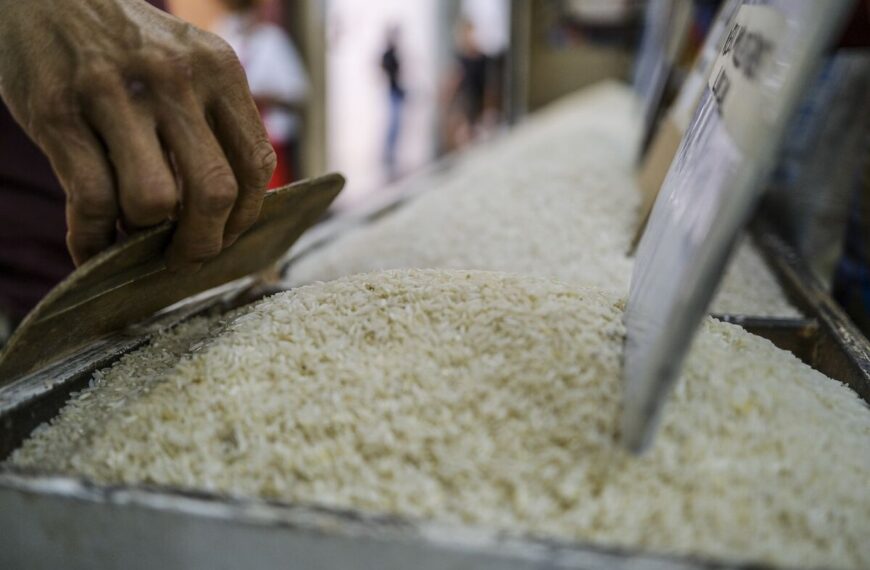 Philippines Strengthens Support for Farmers by Extending Rice Import Ban