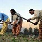 Experts Raise Concerns Over Gender Bias in India’s Natural Farming Policies