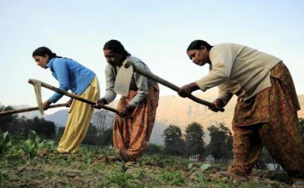 Experts Raise Concerns Over Gender Bias in India’s…